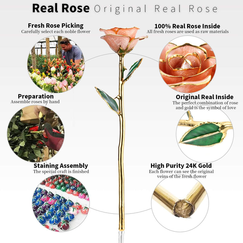 24K Gold Rose, Gold Dipped Rose Made from Real Rose Best Gifts for Her and Great Gifts for Wife, Pink with Stand