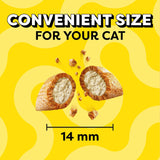 Jumbo Stuff Crunchy and Soft Cat Treats, Savory Salmon Flavor, 5.3 Oz. Pouch (Pack of 10)